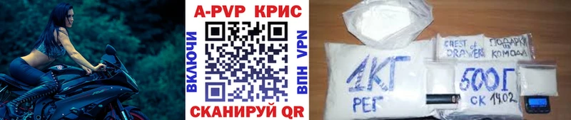 A PVP крисы CK Шацк