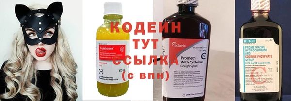 гидра Арсеньев