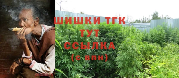 индика Аркадак